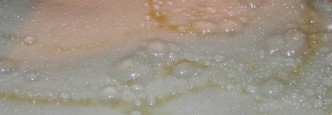 Fermentação